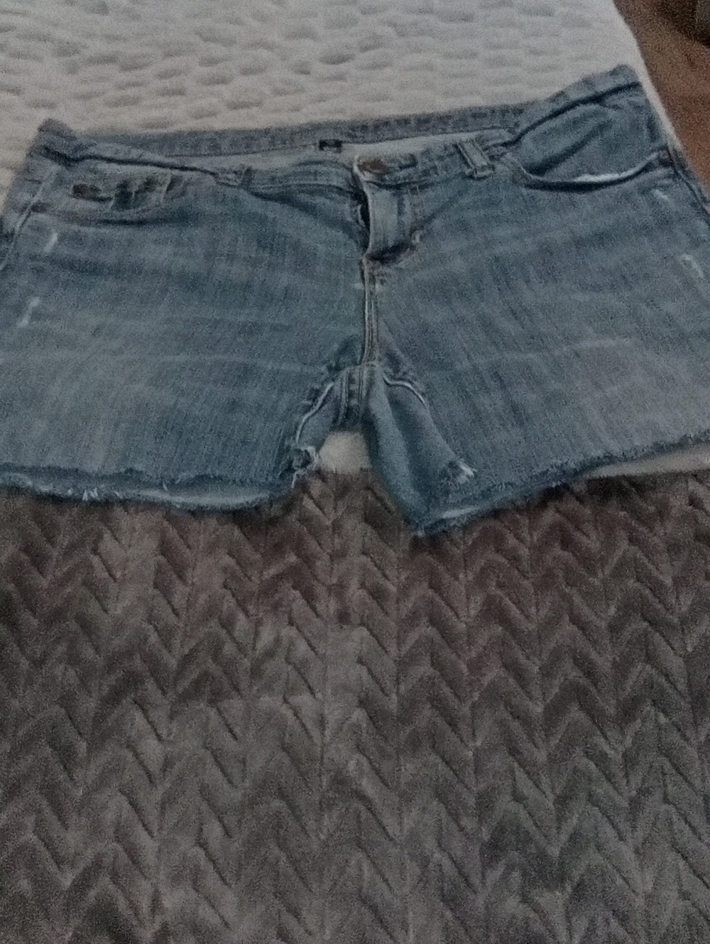 Women's Light Blue Denim Cutoff Shorts with Frayed Hem